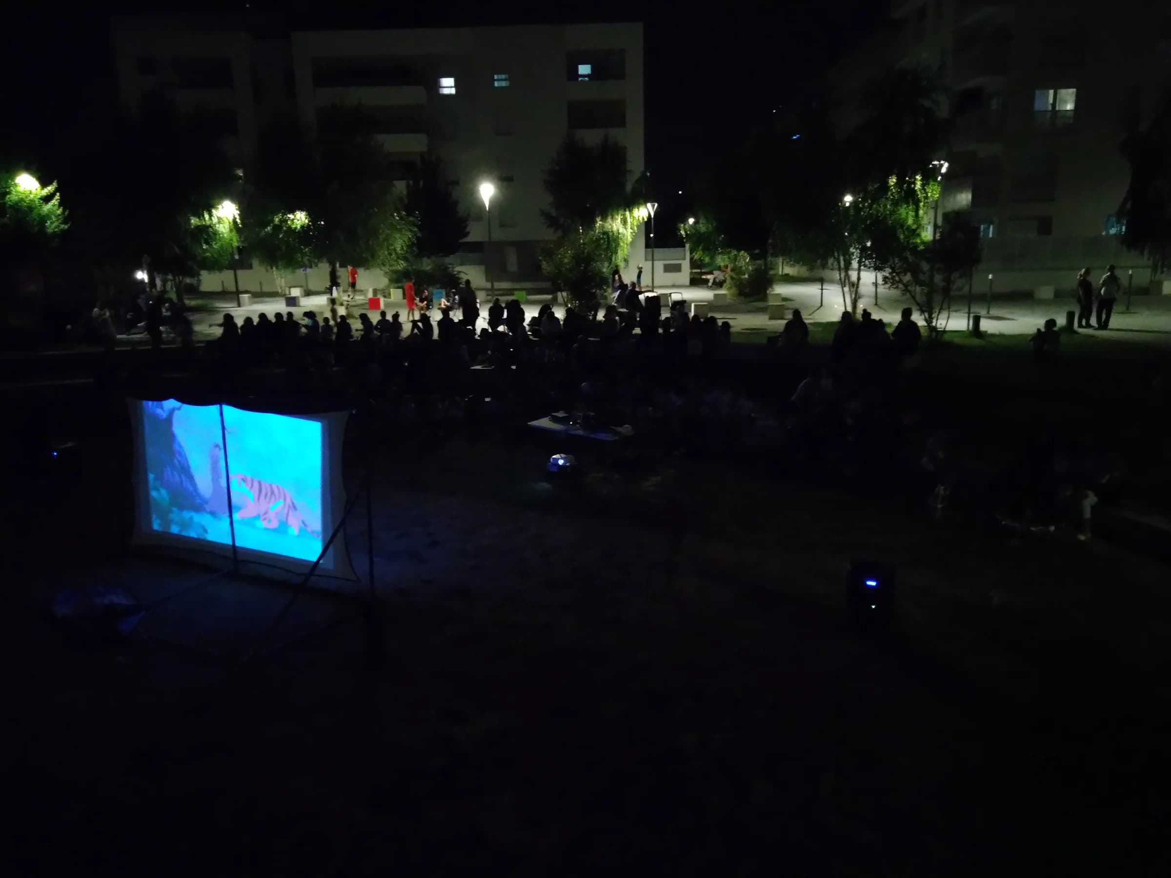 Cinéma en plein air